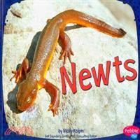 Newts