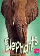 Elephants