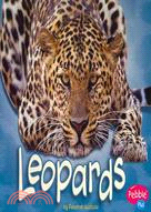 Leopards