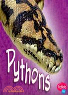 Pythons