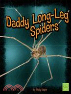 Daddy Long-leg Spiders