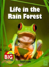 Life in the Rain Forest