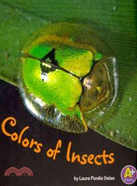 Colors of Insects