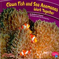 Clown fish and sea anemones work together