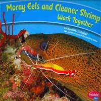 Moray Eels and Cleaner Shrimp Work Together