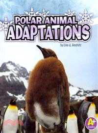 Polar animal adaptations