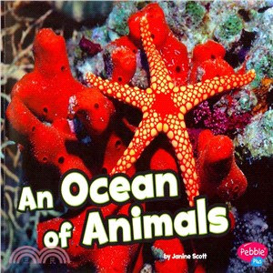 An Ocean of Animals