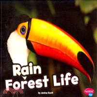 Rain Forest Life