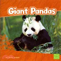 Giant Pandas