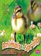 Animals in Spring