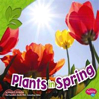 Plants in Spring