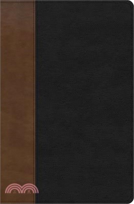 KJV Personal Size Giant Print Bible, Black/Brown Leathertouch, Indexed