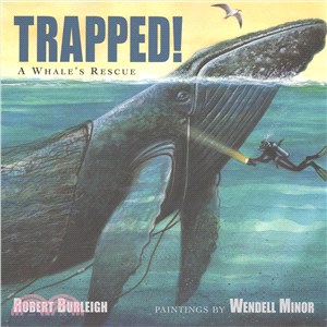 Trapped! ─ A Whale's Rescue