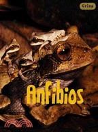 Anfibios/ Amphibians