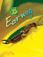 Earwig