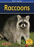 Raccoons