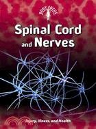 Spinal Cord and Nerves ─ Injury, Illness, and Health