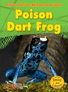 Poison Dart Frog