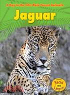 Jaguar /