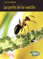 Las partes de los insectos / Bug Parts
