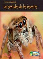 Los sentidos de los insectos / Bug Senses