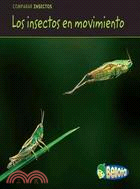 Los insectos en movimiento / Bugs on the Move