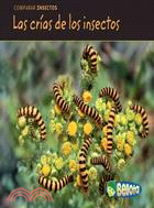 Las crias de los insectos / Bug Babies
