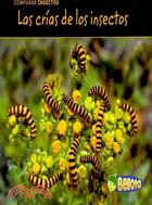Comparar insectos / Comparing Bugs