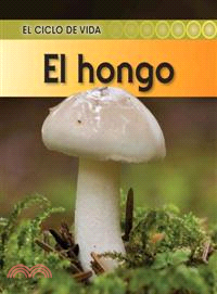 El hongo / Mushroom