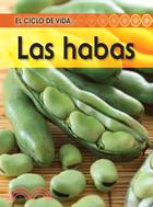 La habas / Beans