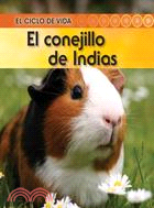 El conejillo de Indias / Guinea Pig
