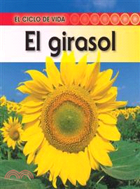 El girasol / Life Cycle of a Sunflower