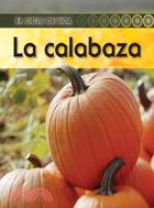 La calabaza / Pumpkin