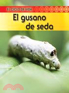 El gusano de seda / Silkworm