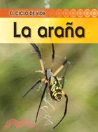 La arana / Spider
