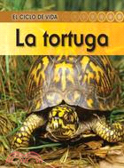 La tortuga / Turtle