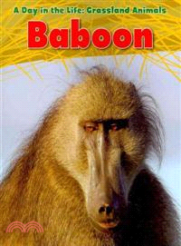 Baboon