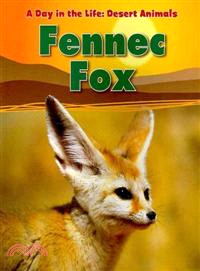 Fennec Fox