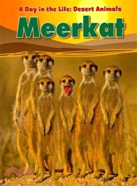 Meerkat