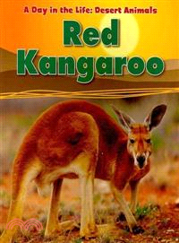 Red Kangaroo