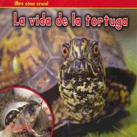 La vida de la tortuga / A Turtle's Life