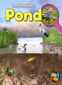 Pond