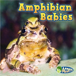 Amphibian Babies