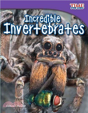 Incredible Invertebrates