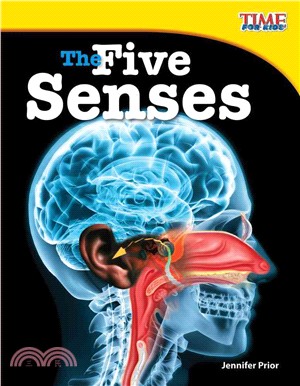 The Five Senses