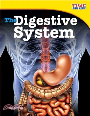 The Digestive System