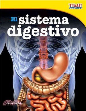 El sistema digestivo (The Digestive System)