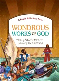 Wondrous Works of God—A Family Bible Story Book