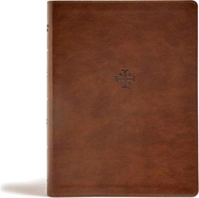 Holy Bible ― Christian Standard Bible, Life Connections Study Bible, Brown Leathertouch