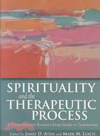Spirituality and the Therapeutic Process ─ A Comprehensive Resource from Intake to Termination